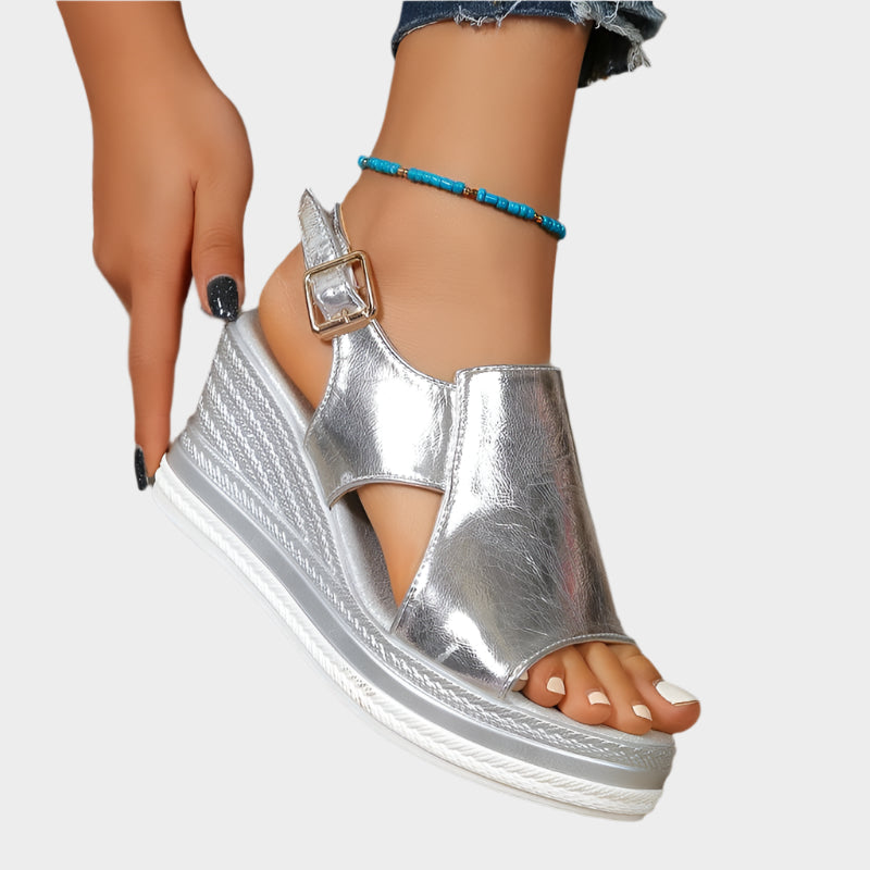 פלטפורמות אנטומיות